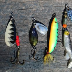 Fishing Bait