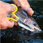 FISHING FORCEPS